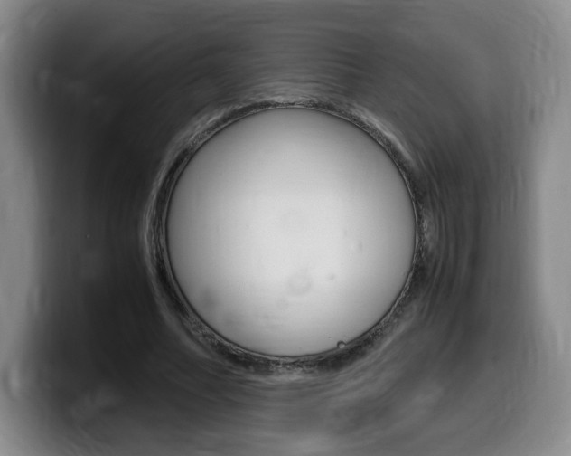 X0000099470682200805090814