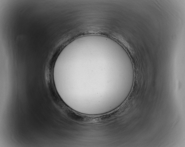 X0000099470683200805090814