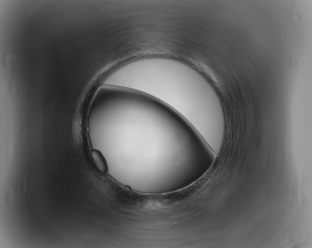 X0000099470684200805090814
