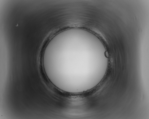 X0000099470686200805090814