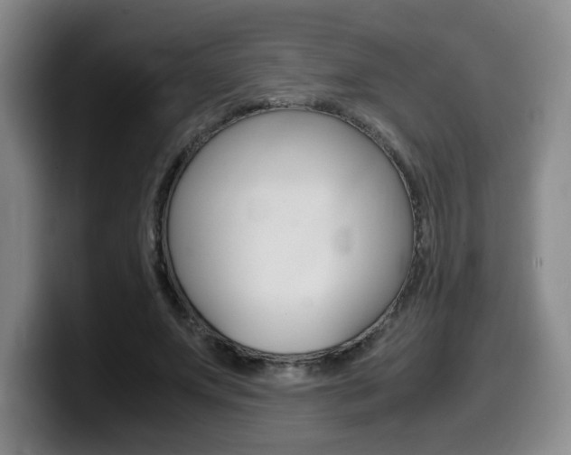 X0000099470687200805090814