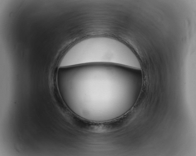 X0000099470688200805090814