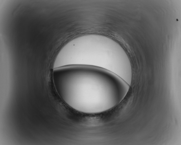 X0000099470689200805090814