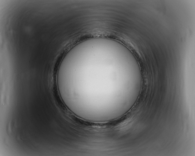 X0000099470690200805090814