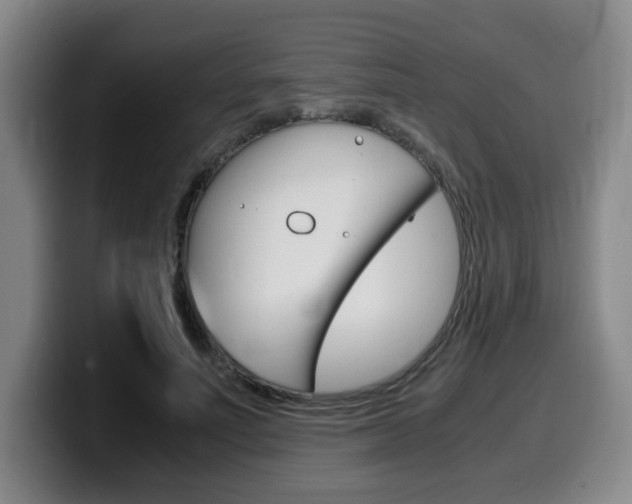 X0000099470691200805090814