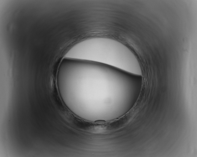 X0000099470692200805090814