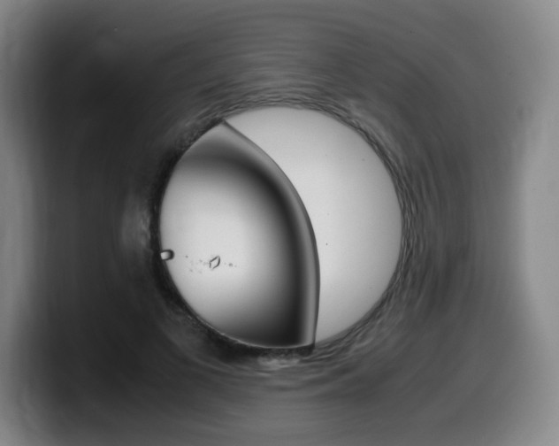 X0000099470693200805090814