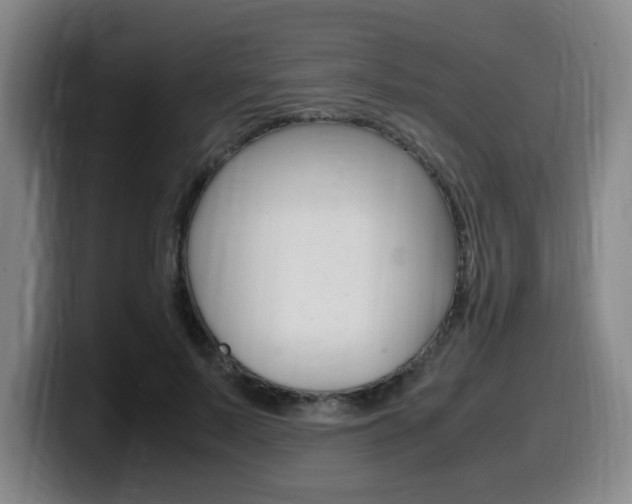 X0000099470695200805090814