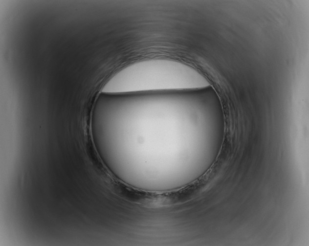 X0000099470696200805090813