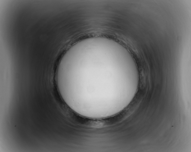 X0000099470698200805090813