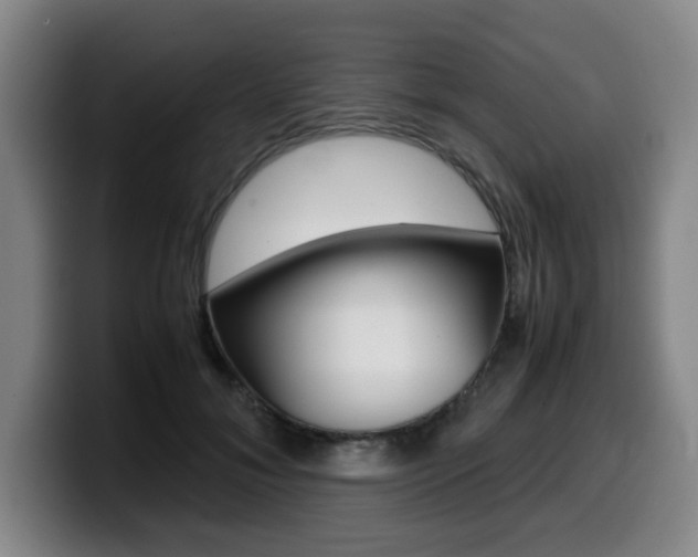 X0000099470700200805090813