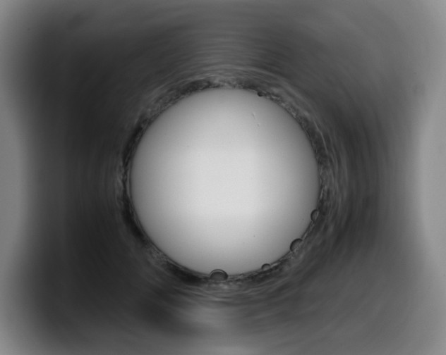 X0000099470702200805090813