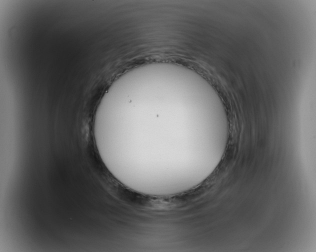 X0000099470703200805090813