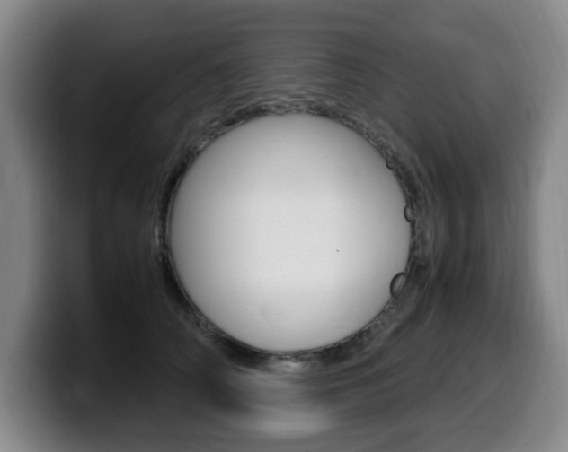 X0000099470706200805090813