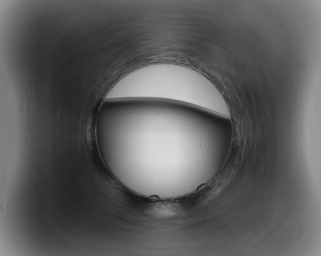 X0000099470708200805090813