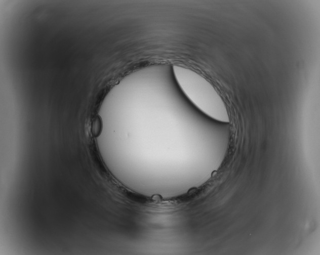 X0000099470711200805090813