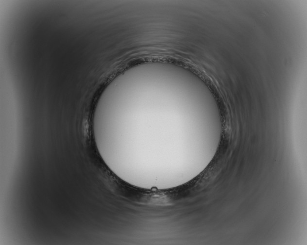 X0000099470715200805090813