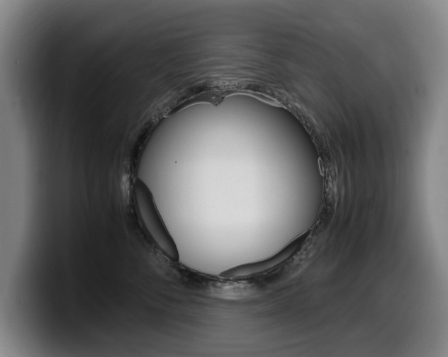 X0000099470716200805090813