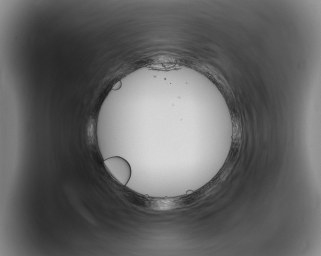 X0000099470717200805090813