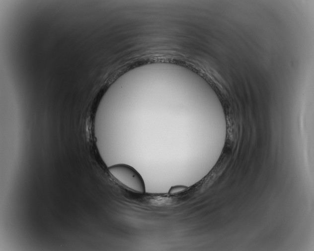 X0000099470718200805090813