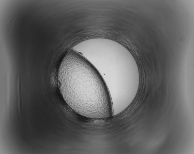 X0000099470719200805090813