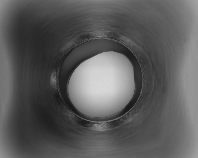 X0000099470720200805090813
