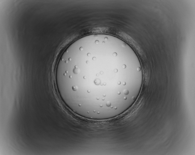 X0000099470721200805090813