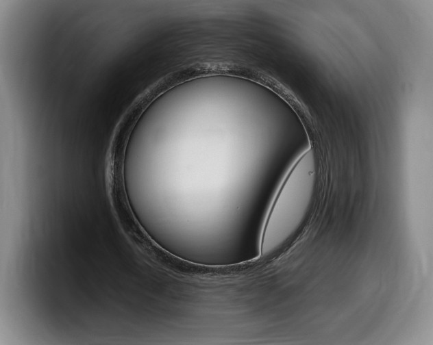 X0000099470722200805090813
