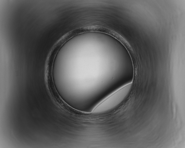 X0000099470724200805090813