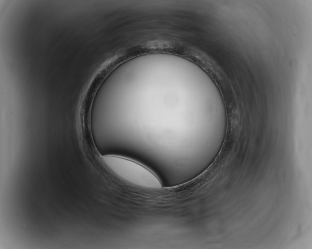 X0000099470727200805090813