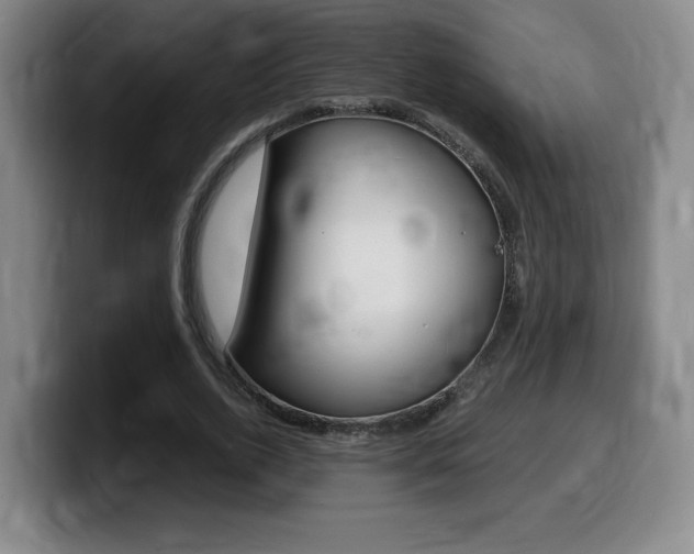 X0000099470728200805090813