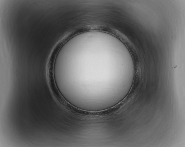 X0000099470730200805090813