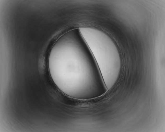 X0000099470731200805090813