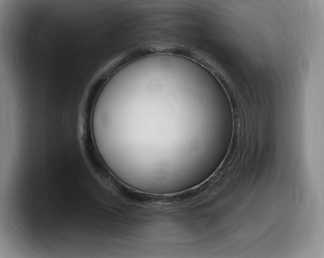 X0000099470732200805090813
