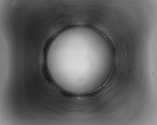 X0000099470739200805090813