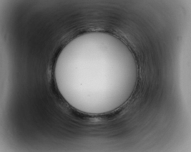 X0000099470741200805090813