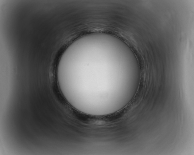 X0000099470743200805090813