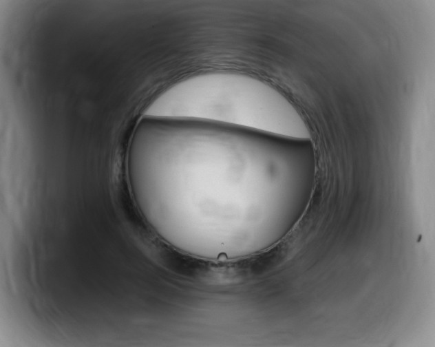 X0000099470744200805090813