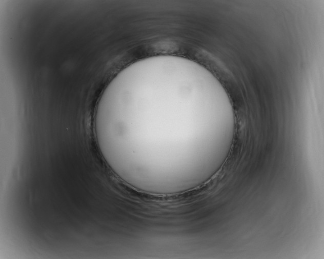X0000099470745200805090813