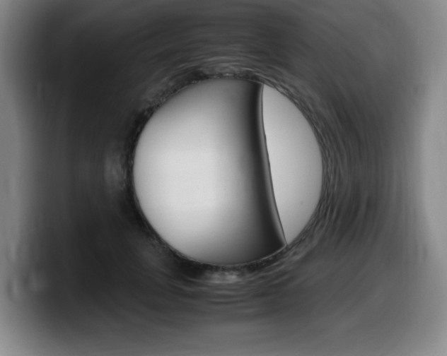 X0000099470751200805090813