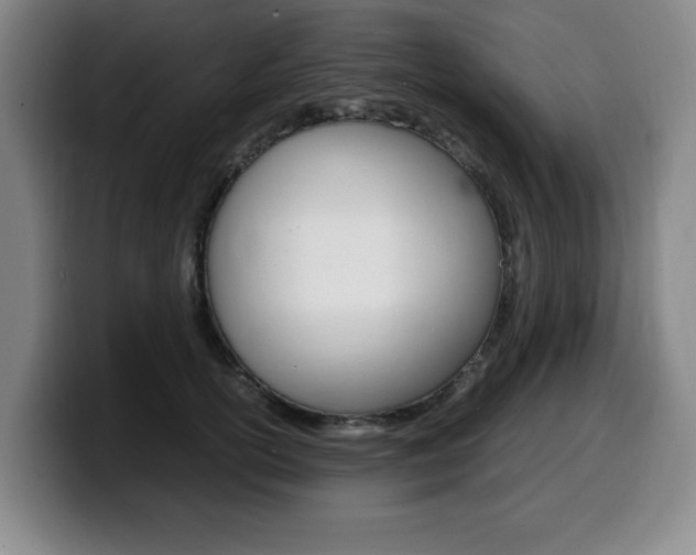 X0000099470754200805090813