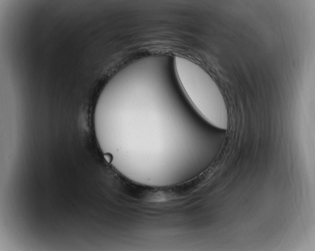 X0000099470755200805090813