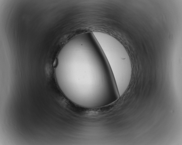 X0000099470756200805090813