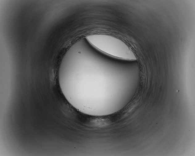 X0000099470759200805090813