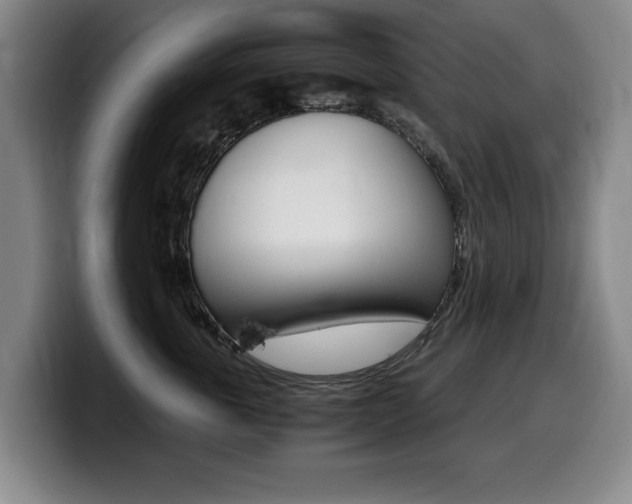 X0000099470763200805090813