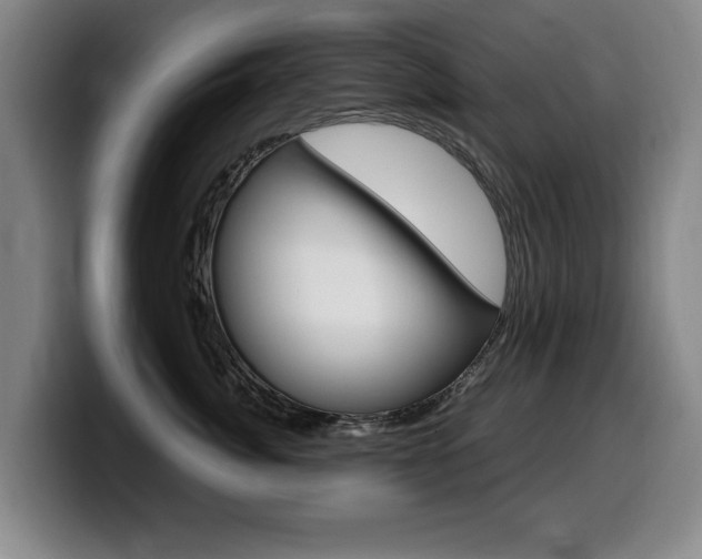 X0000099470764200805090813