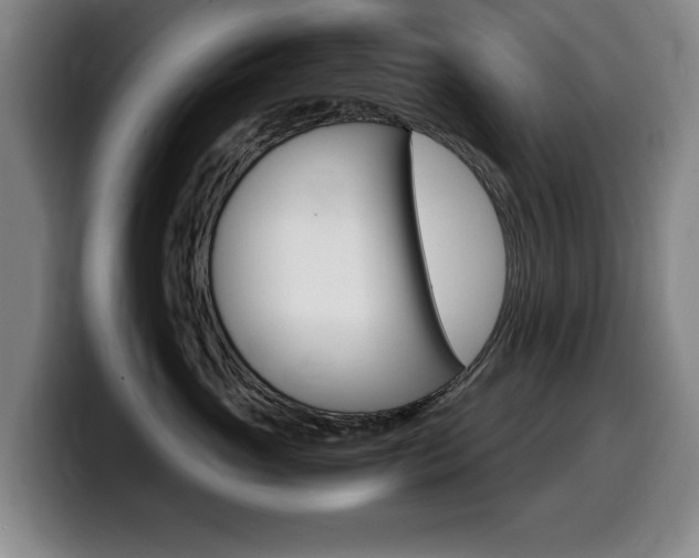X0000099470765200805090813