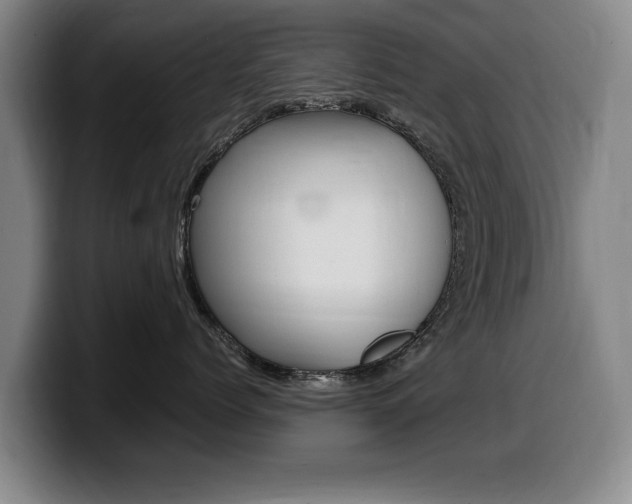 X0000099470768200805090813