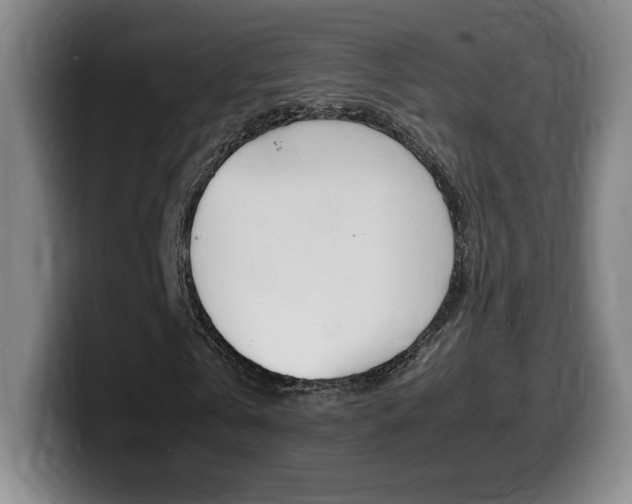 X0000099470769200805090813