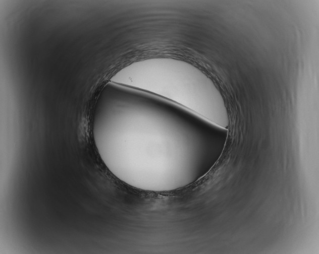 X0000099470772200805090813